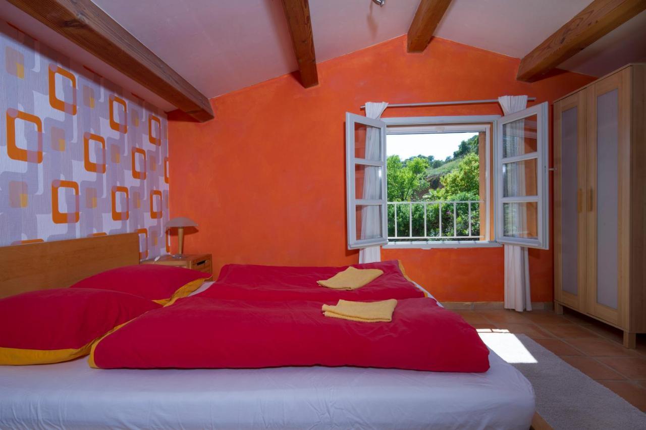 Villa House With Garden And Sea View La Londe-les-Maures Exterior foto